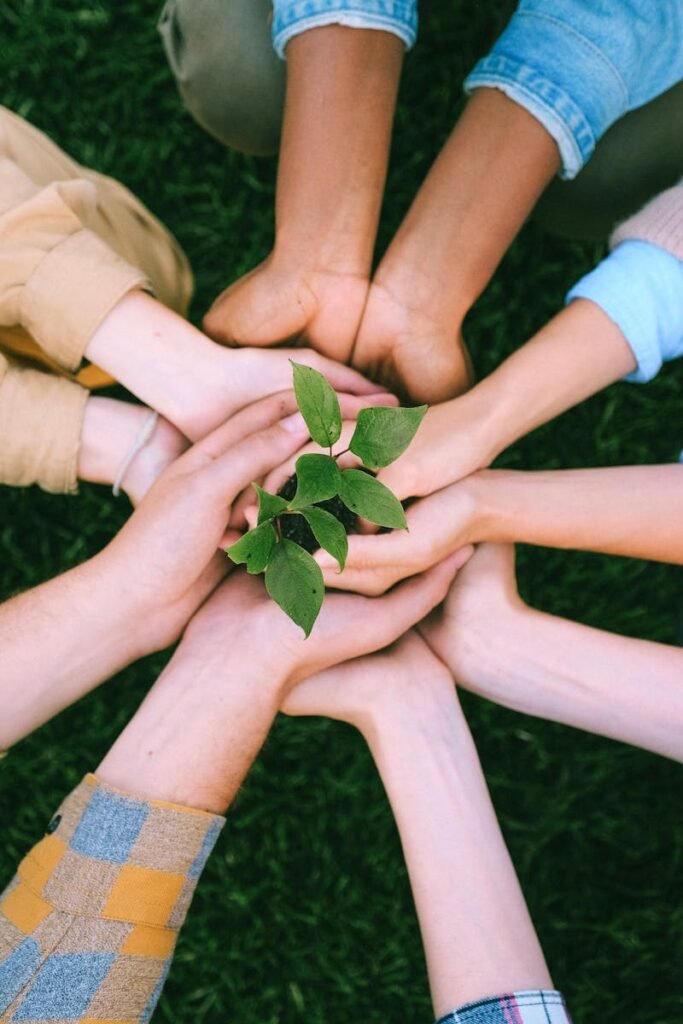 pexels-photo-5029919-5029919 Hands united around a plant symbolizing teamwork and eco-friendly efforts outdoors.